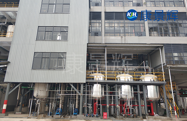 4.2t/h硫酸铵废液焚烧前蒸发预处理