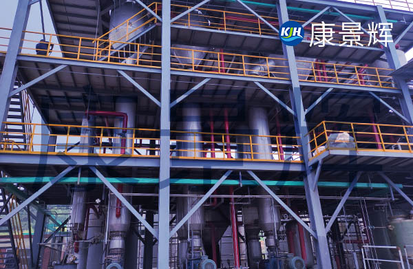 1t/h丙氨酸双效蒸发浓缩系统