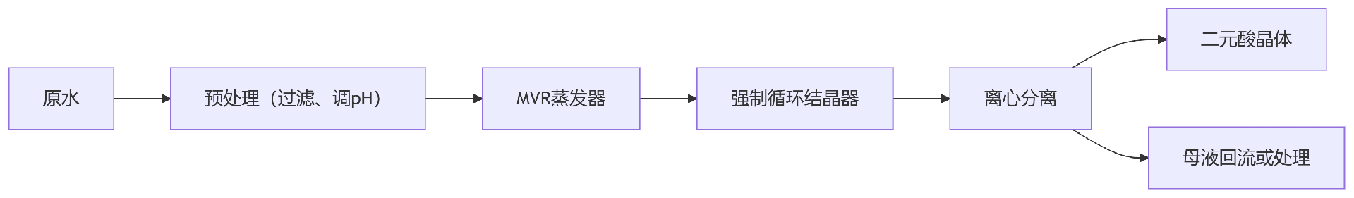 6T/h二元酸废水蒸发结晶设备