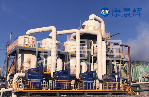 20T/H管式升膜多效蒸发器